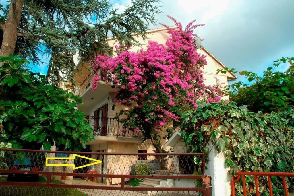 Apartment Ribica Slatine Buitenkant foto